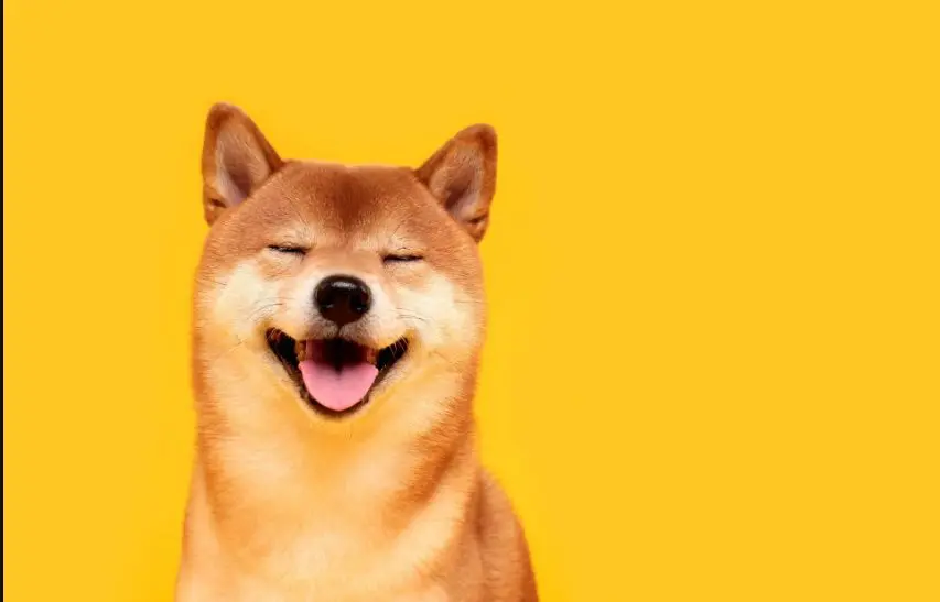Kaj je Dogecoin
