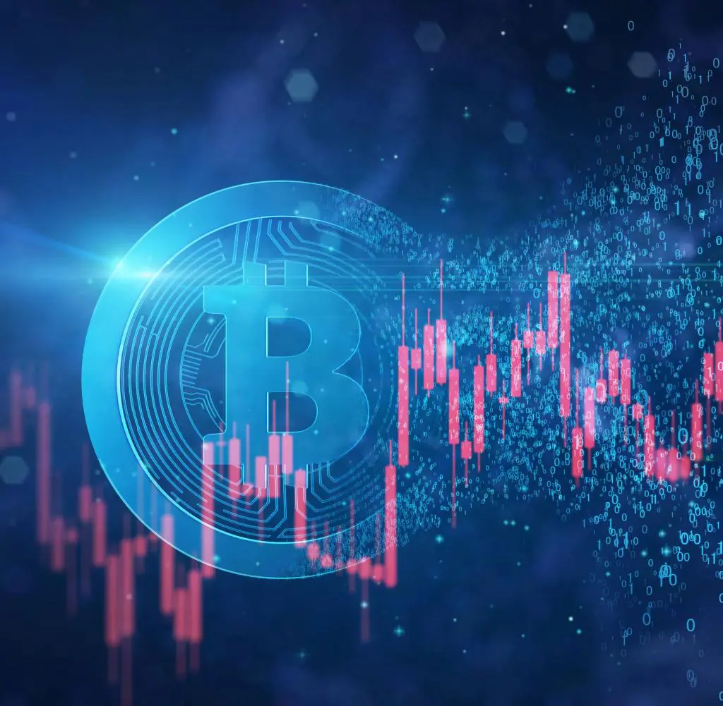Kako lahko novinci vlagajo v bitcoine?
