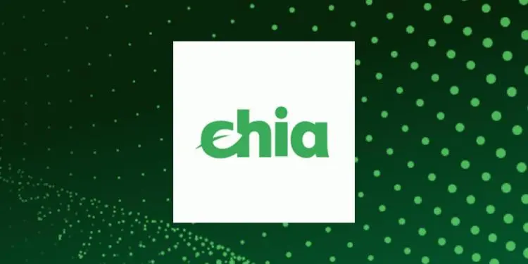 Ali je Chia dobičkonosna?
