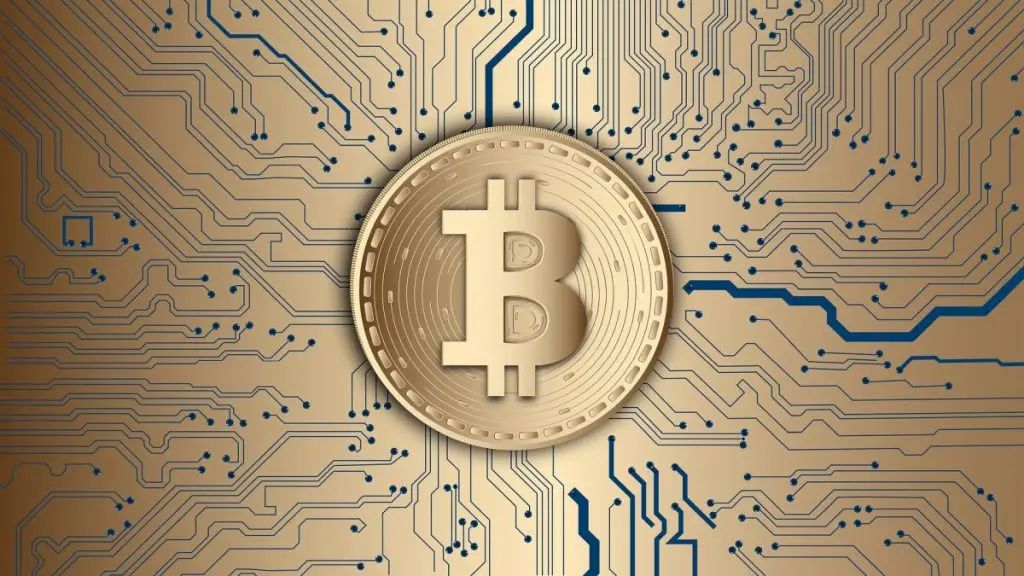 Altcoins: Kaj so in kako delujejo 

