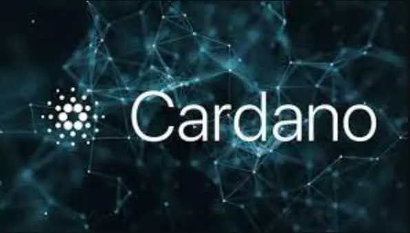 Ali je v omrežje Cardano vredno vlagati?