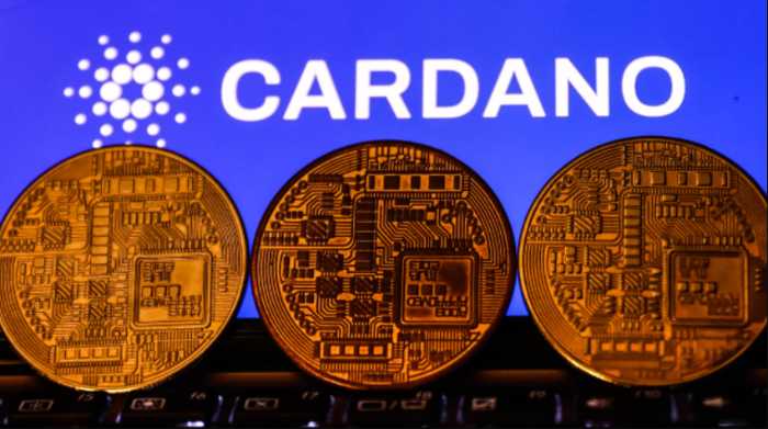 Ali ima Cardano prihodnost?
