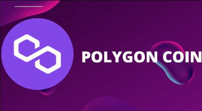 Ali se bo Polygon vrnil?
