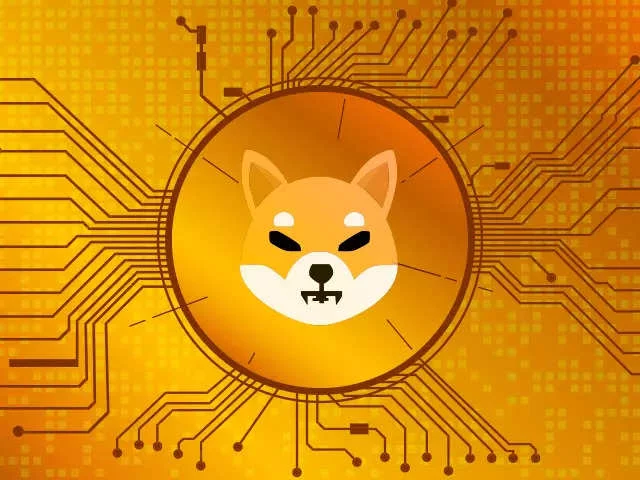 Shiba Inu.
