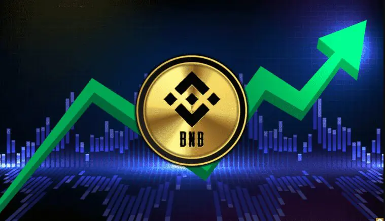 Kaj je Binance Coin?
