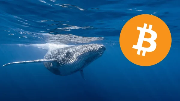 Starodavni Bitcoin Whale premika $60M po 12 letih!