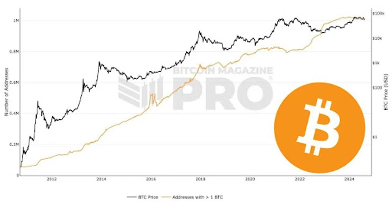 Graf, ki prikazuje število naslovov Bitcoin, ki imajo 1 BTC
