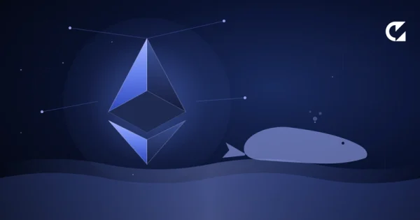 Kiti so tiho kupili 230.000 ETH po 2.300 dolarjev — medtem ko so vsi drugi panikirali pri 2.400 dolarjih